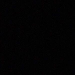 Meet your Posher, Nelson